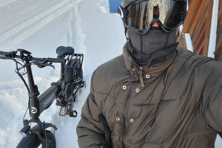 Tesgo Hum pro Full Suspension Folding E-Bike