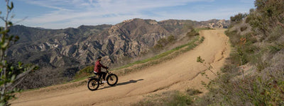 7 Tips on Mountain Biking for Beginners