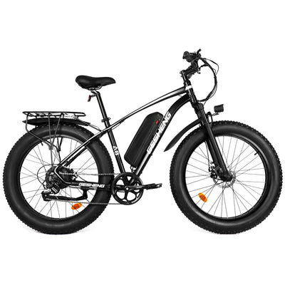 TESGO Refurbished E-bike