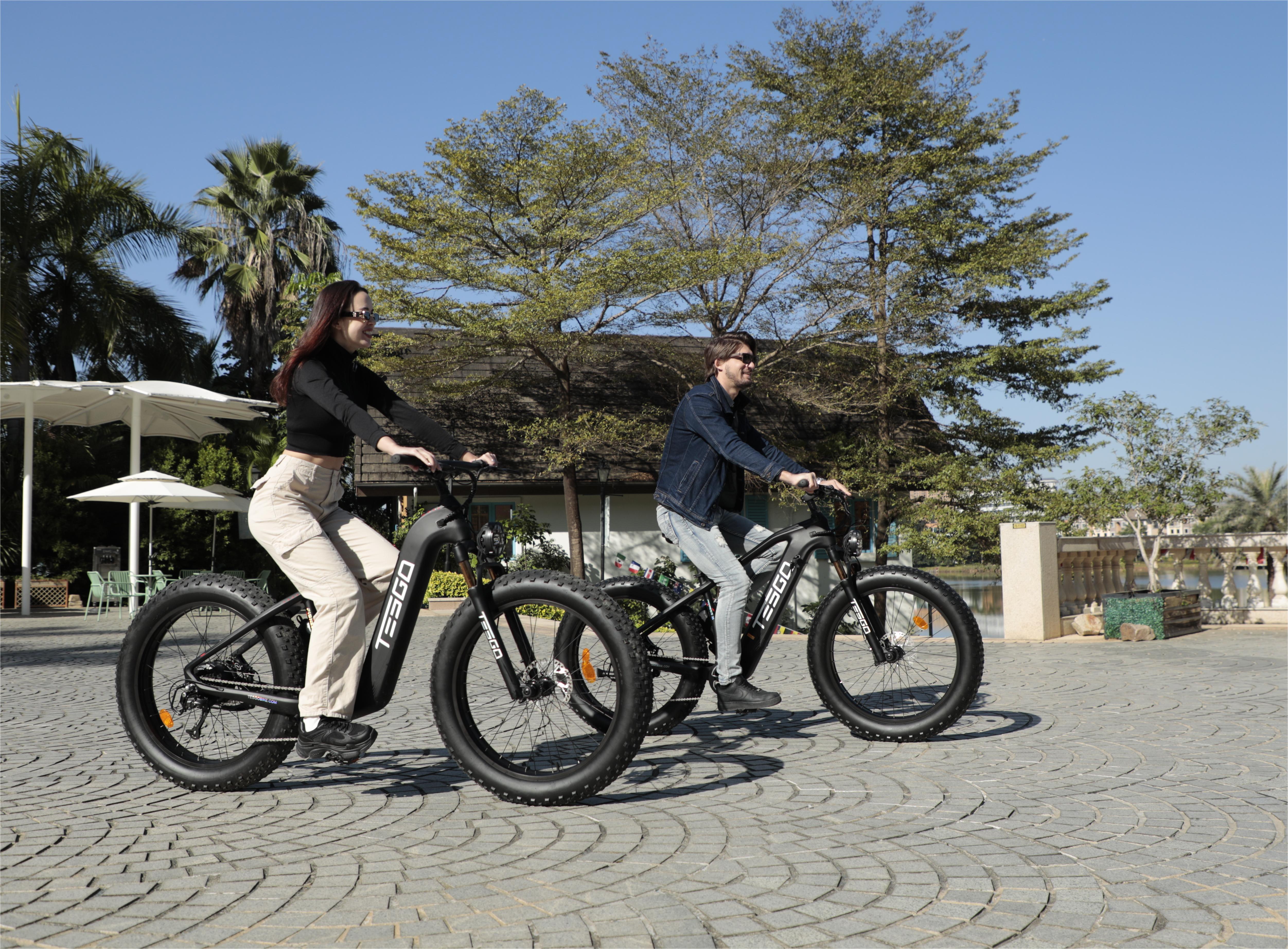 tesgobike.ca