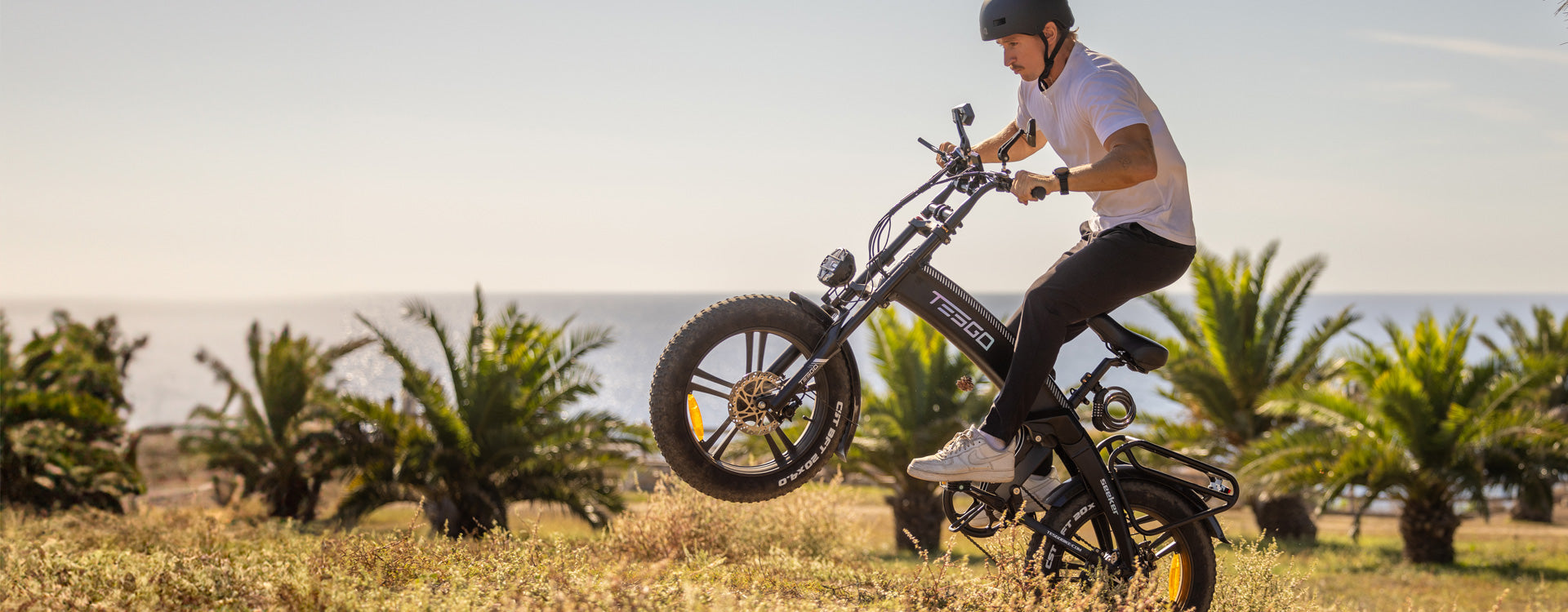 Tesgo Seeker All Terrain Professional Fat Tire Electric Bike