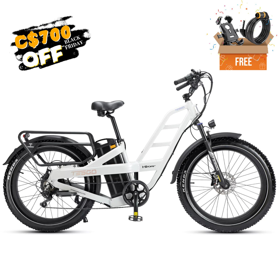 Tesgo Canada Best Electric Bike for Adults Tesgo Folding Fat Tire Ebike for Sale