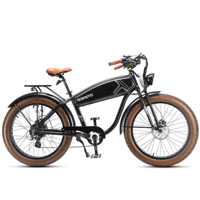 Tesmoto Bison Commuting Electric Motorcycle | Tesgo Ebike
