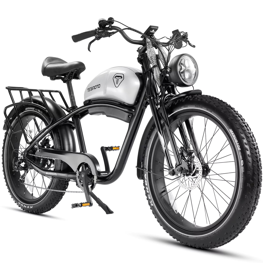 Tesgo Hiker Cargo Electric Bike 26 Inch 70nm 140 160 Miles 48V 30A White