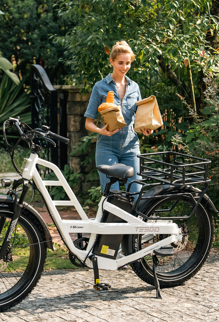 Tesgo Hiker 26" Cargo Long Range Electric Bike