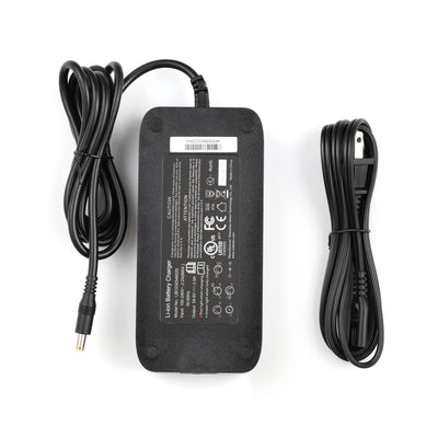 Tesgo Battery Charger