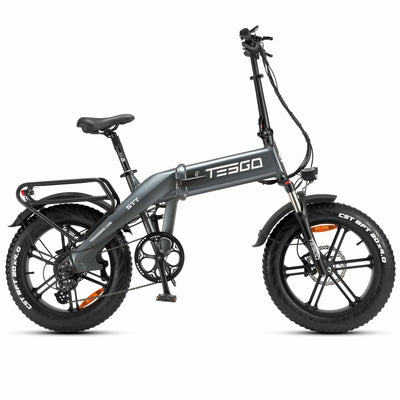 Tesgo STT 20” Foldable Fat Tire Electric Bike #color_gray
